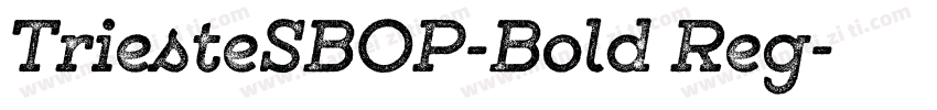 TriesteSBOP-Bold Reg字体转换